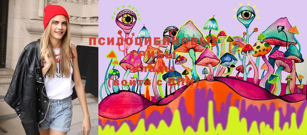 MDMA Верхний Тагил