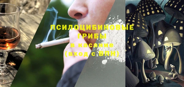 дживик Верея